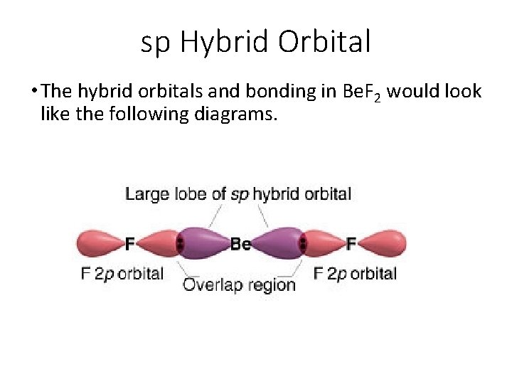 sp Hybrid Orbital • The hybrid orbitals and bonding in Be. F 2 would