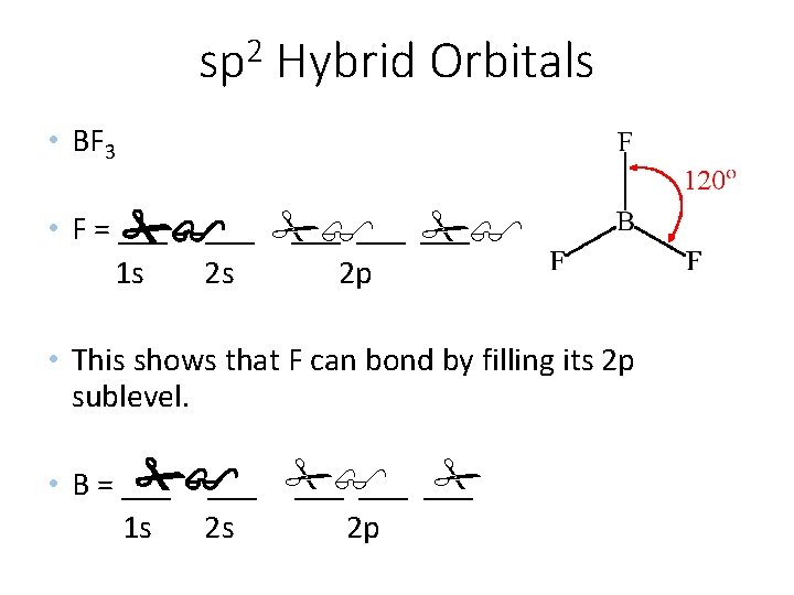 2 sp Hybrid Orbitals • BF 3 • F = ___ ___ 1 s
