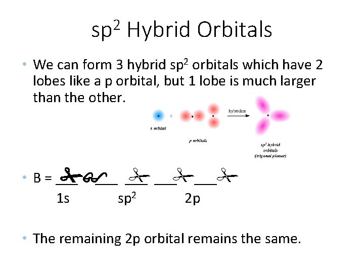 2 sp Hybrid Orbitals • We can form 3 hybrid sp 2 orbitals which