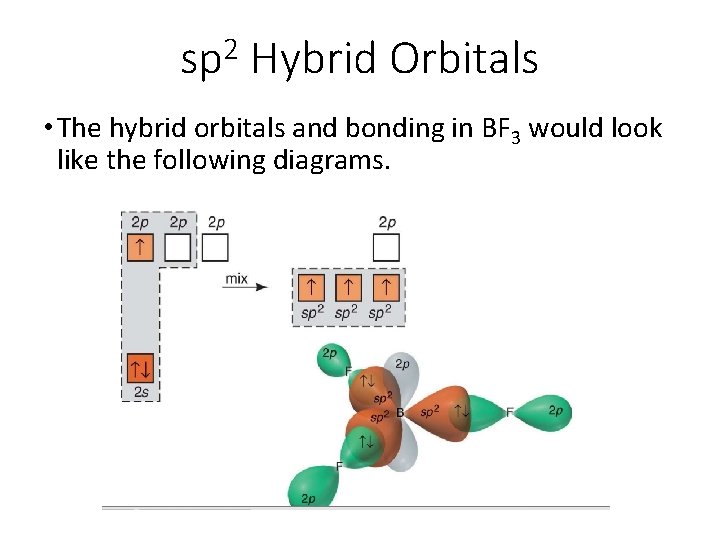2 sp Hybrid Orbitals • The hybrid orbitals and bonding in BF 3 would