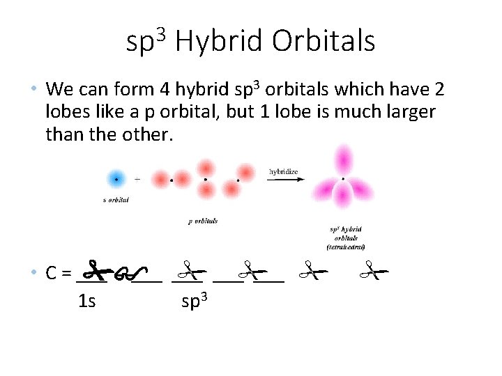 3 sp Hybrid Orbitals • We can form 4 hybrid sp 3 orbitals which