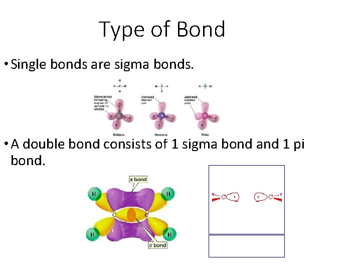Type of Bond • Single bonds are sigma bonds. • A double bond consists