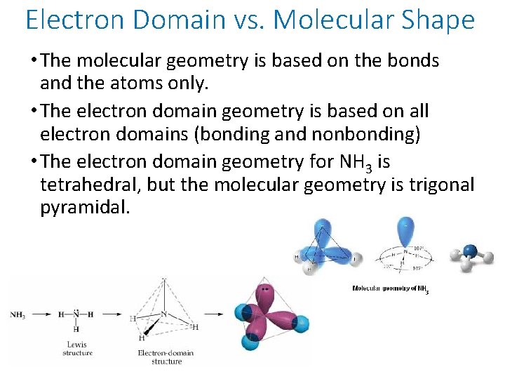 Electron Domain vs. Molecular Shape • The molecular geometry is based on the bonds