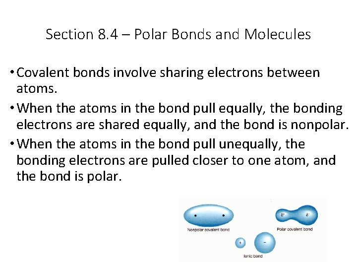 Section 8. 4 – Polar Bonds and Molecules • Covalent bonds involve sharing electrons