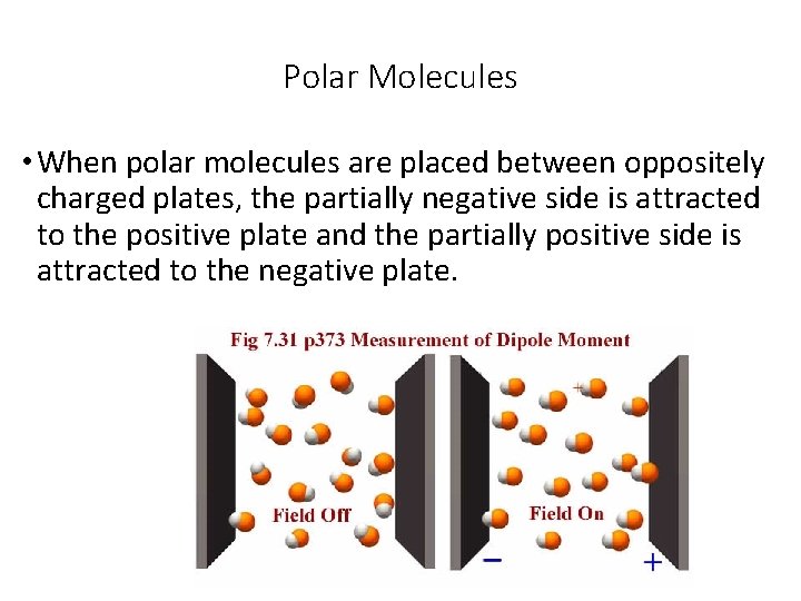 Polar Molecules • When polar molecules are placed between oppositely charged plates, the partially