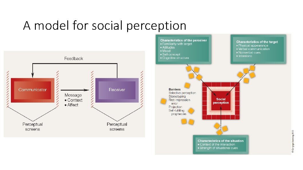 A model for social perception 