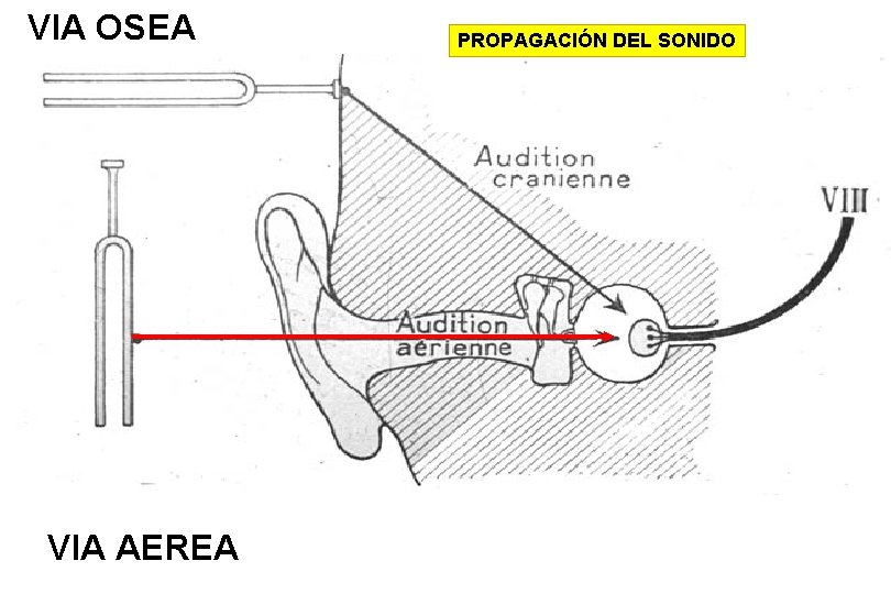 VIA OSEA VIA AEREA PROPAGACIÓN DEL SONIDO 
