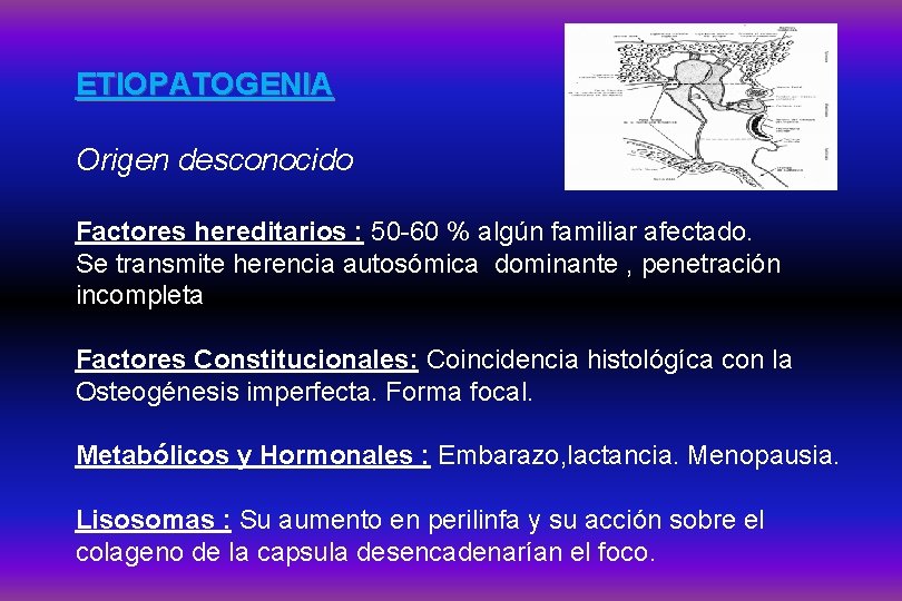 ETIOPATOGENIA Origen desconocido Factores hereditarios : 50 -60 % algún familiar afectado. Se transmite