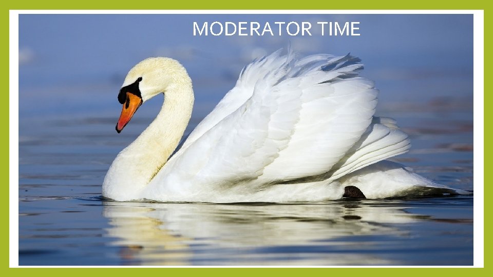MODERATOR TIME 