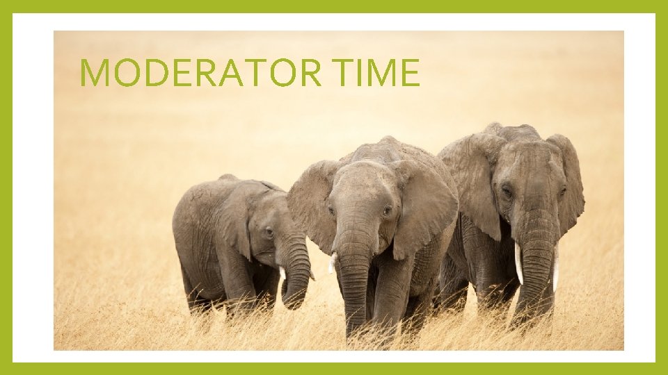 MODERATOR TIME 