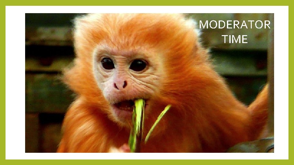 MODERATOR TIME . 