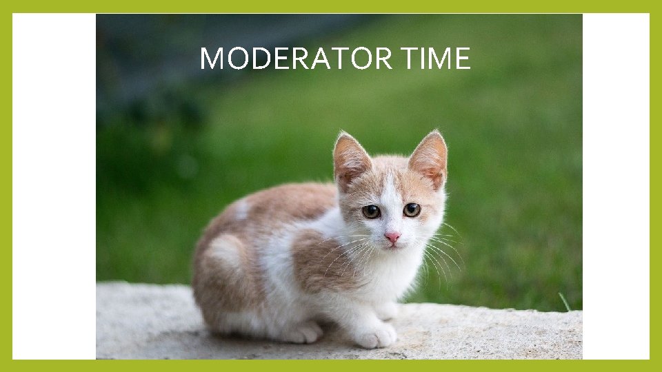 MODERATOR TIME 