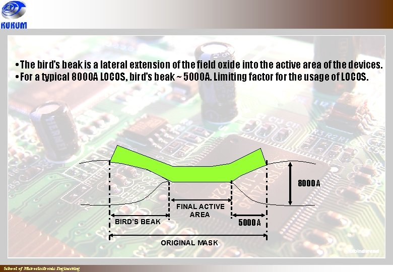 • The bird’s beak is a lateral extension of the field oxide into • The bird’s beak is a lateral extension of the field oxide into