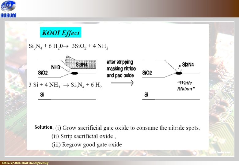 School of Microelectronic Engineering School of Microelectronic Engineering