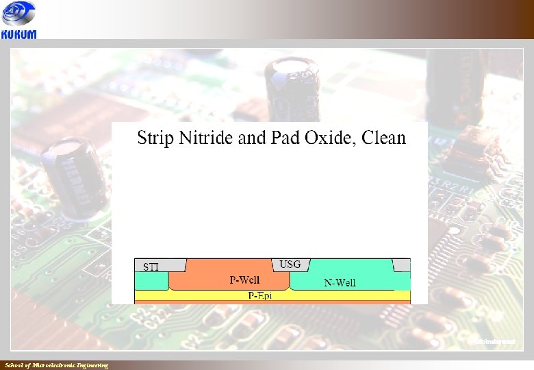 School of Microelectronic Engineering 