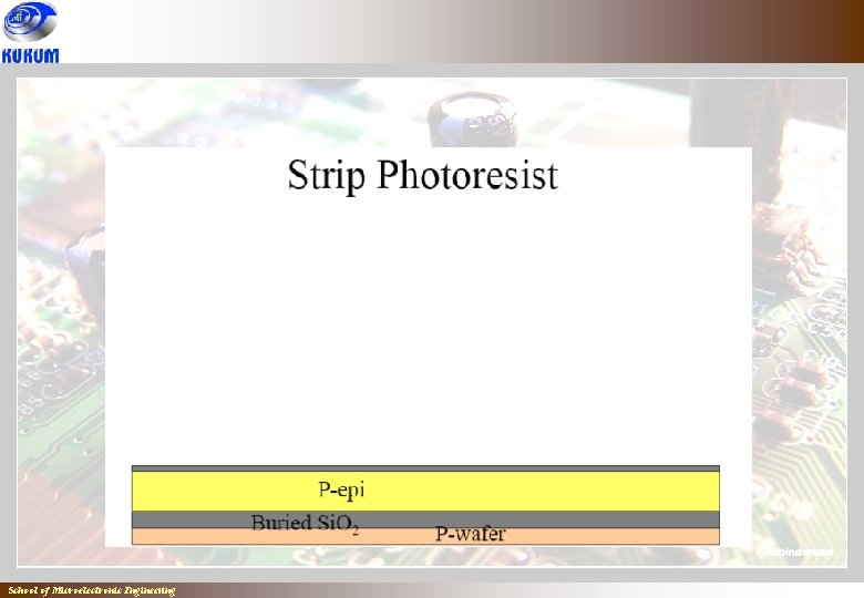 School of Microelectronic Engineering School of Microelectronic Engineering