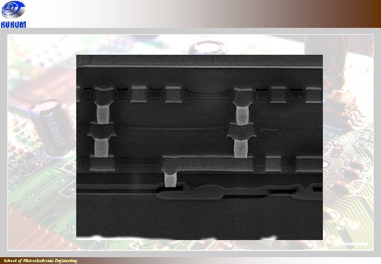 School of Microelectronic Engineering School of Microelectronic Engineering