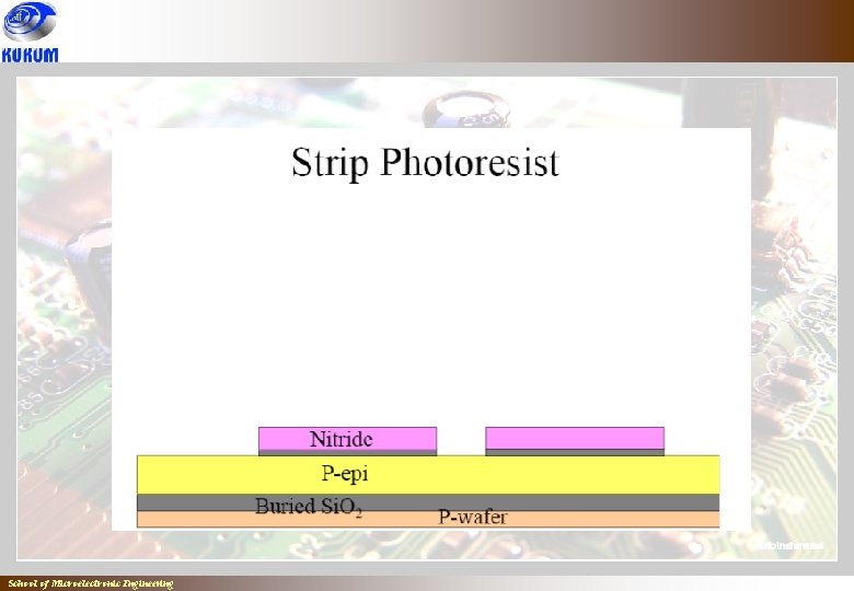 School of Microelectronic Engineering School of Microelectronic Engineering