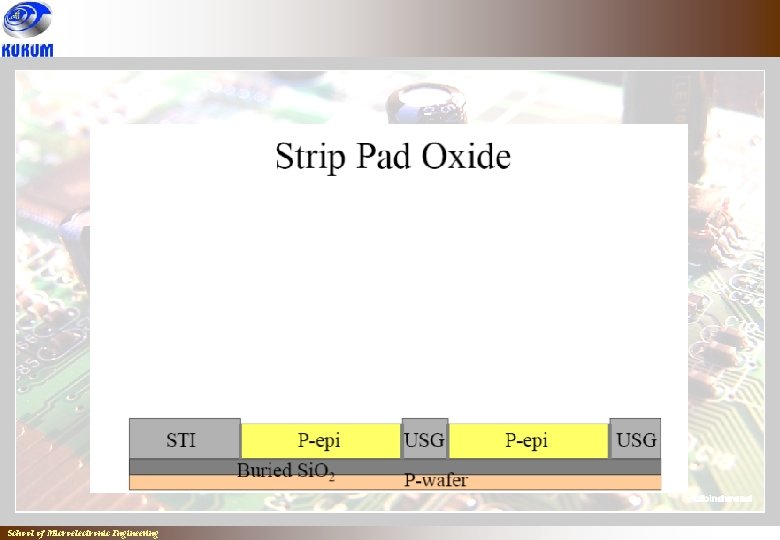 School of Microelectronic Engineering School of Microelectronic Engineering