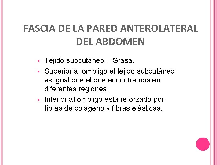 FASCIA DE LA PARED ANTEROLATERAL DEL ABDOMEN § § § Tejido subcutáneo – Grasa.