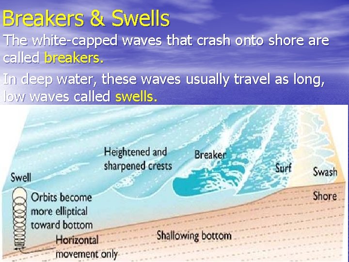 Breakers & Swells The white-capped waves that crash onto shore are called breakers. In