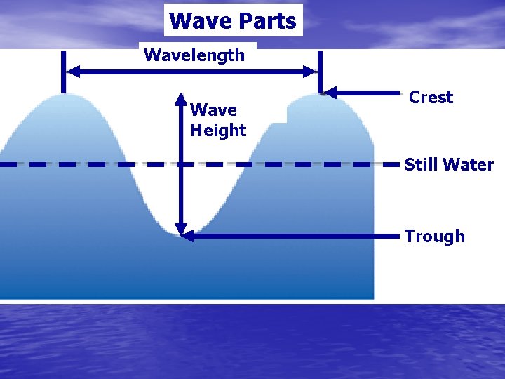 Wave Parts Wavelength Wave Height Crest Still Water Trough 