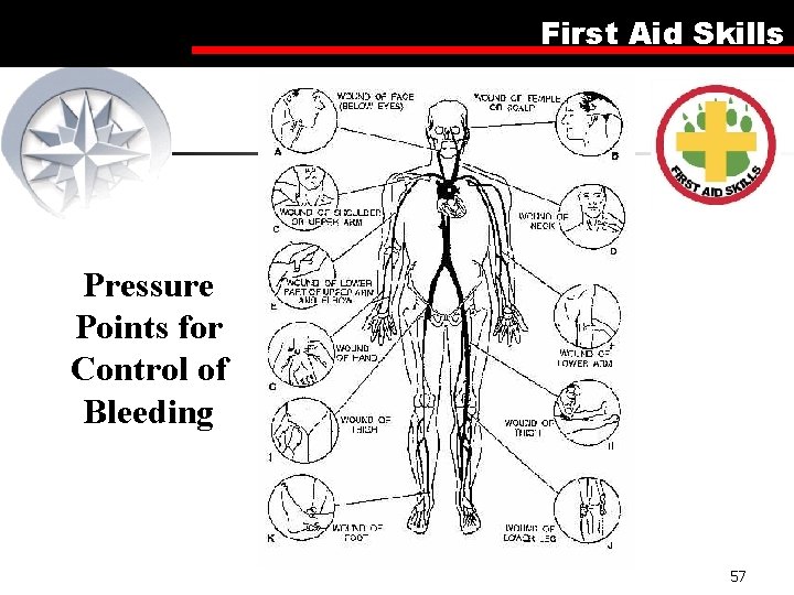 First Aid Skills Pressure Points for Control of Bleeding 57 