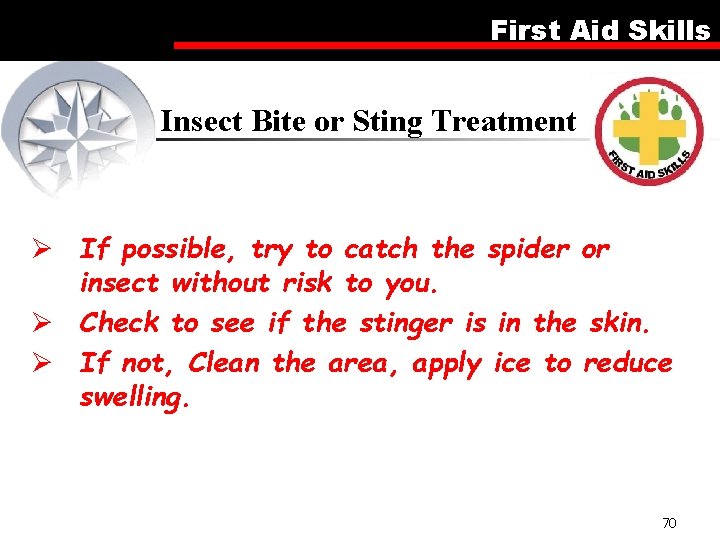 First Aid Skills Insect Bite or Sting Treatment Ø If possible, try to catch