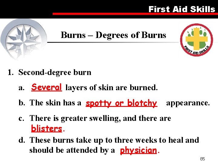 First Aid Skills Burns – Degrees of Burns 1. Second-degree burn a. Several layers