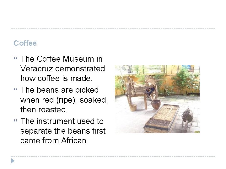 Coffee The Coffee Museum in Veracruz demonstrated how coffee is made. The beans are