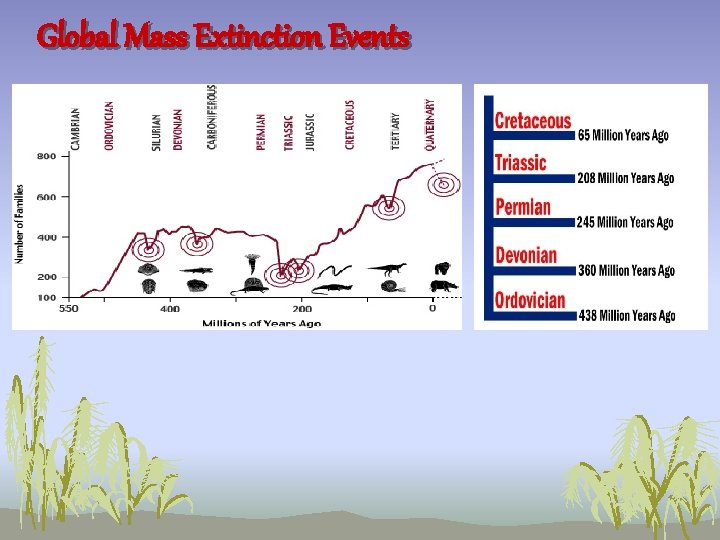 Global Mass Extinction Events 
