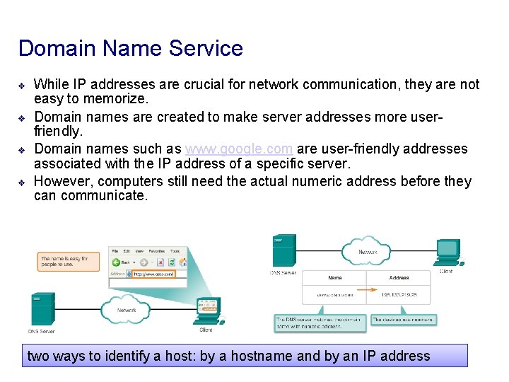 Domain Name Service v v While IP addresses are crucial for network communication, they