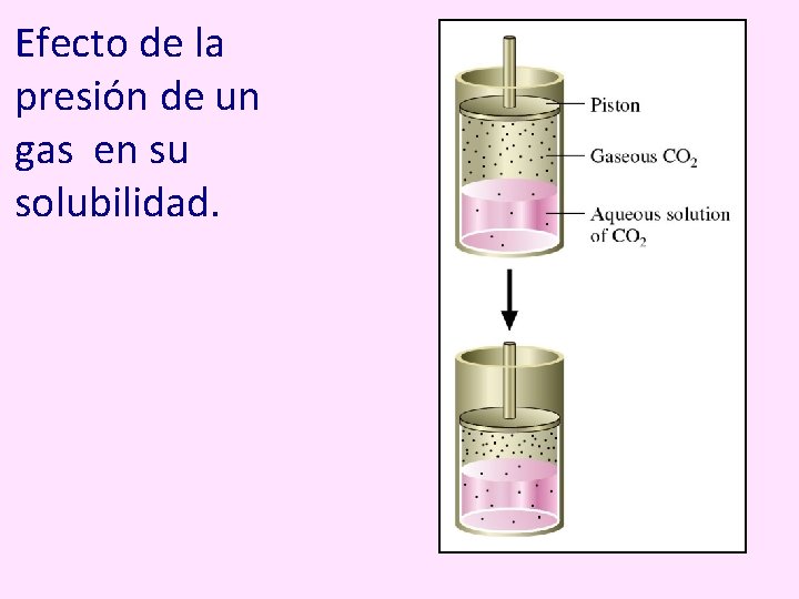 Efecto de la presión de un gas en su solubilidad. 