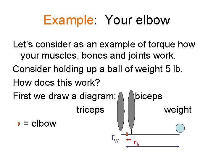Example: Your elbow Let’s consider as an example of torque how your muscles, bones
