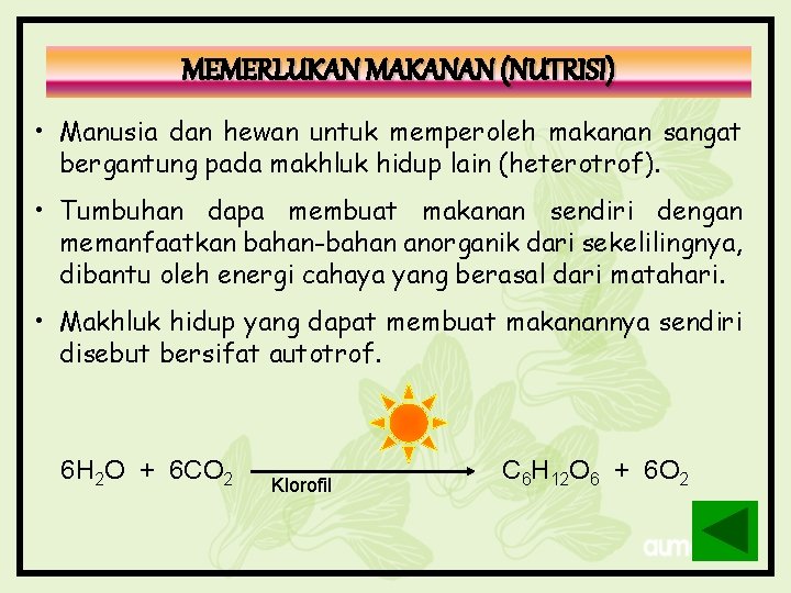 MEMERLUKAN MAKANAN (NUTRISI) • Manusia dan hewan untuk memperoleh makanan sangat bergantung pada makhluk