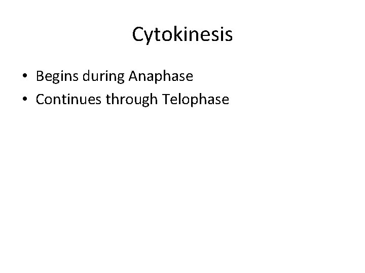 Cytokinesis • Begins during Anaphase • Continues through Telophase 