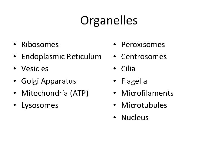 Organelles • • • Ribosomes Endoplasmic Reticulum Vesicles Golgi Apparatus Mitochondria (ATP) Lysosomes •