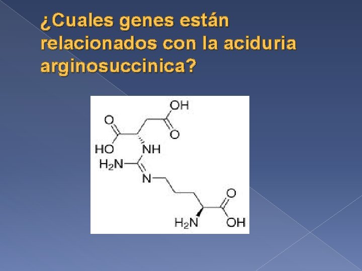 ¿Cuales genes están relacionados con la aciduria arginosuccinica? 