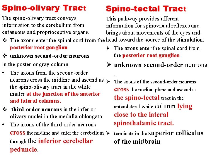 Spino-olivary Tract Spino-tectal Tract The spino-olivary tract conveys This pathway provides afferent information to