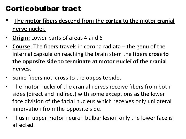 Corticobulbar tract • • • The motor fibers descend from the cortex to the