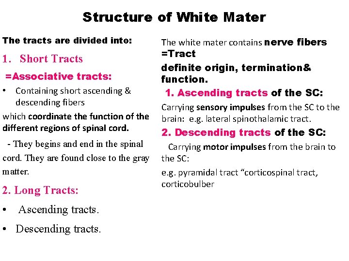 Structure of White Mater The tracts are divided into: 1. Short Tracts =Associative tracts: