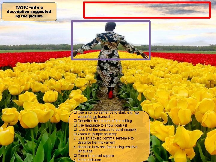 TASK: write a description suggested by the picture q Use a so, so sentence