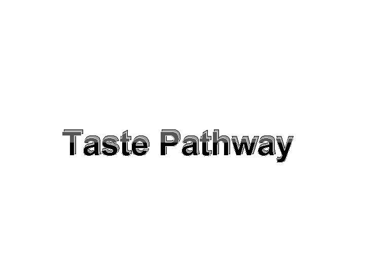 Taste Pathway 