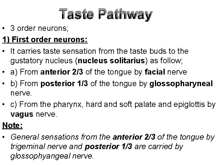 Taste Pathway • 3 order neurons; 1) First order neurons: • It carries taste