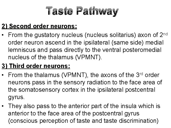 Taste Pathway 2) Second order neurons: • From the gustatory nucleus (nucleus solitarius) axon