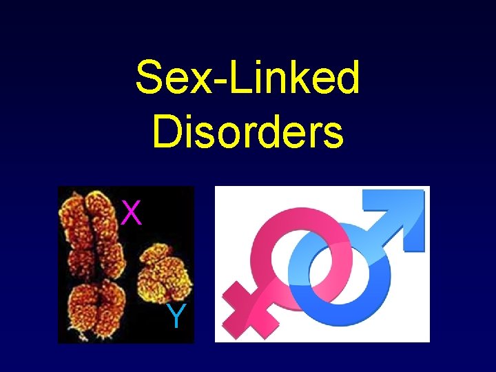 Sex-Linked Disorders X Y 