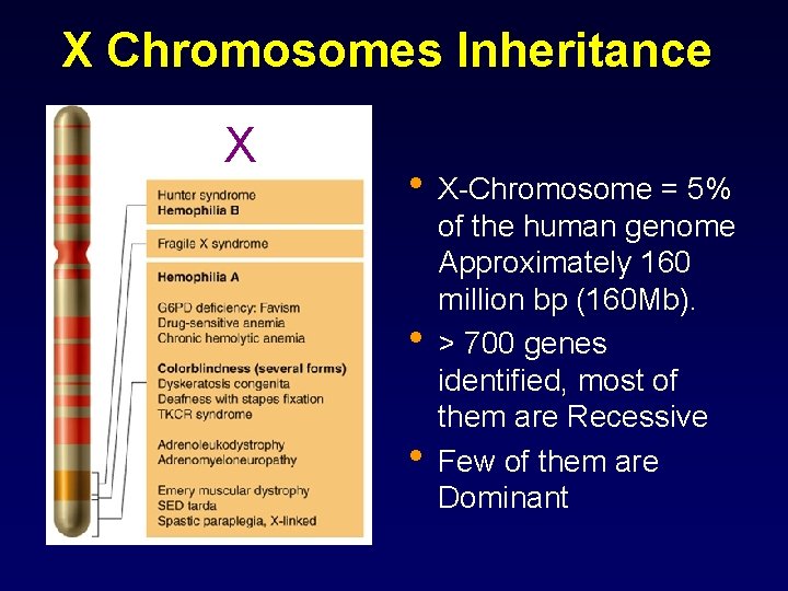 X Chromosomes Inheritance X x • X-Chromosome = 5% • • of the human