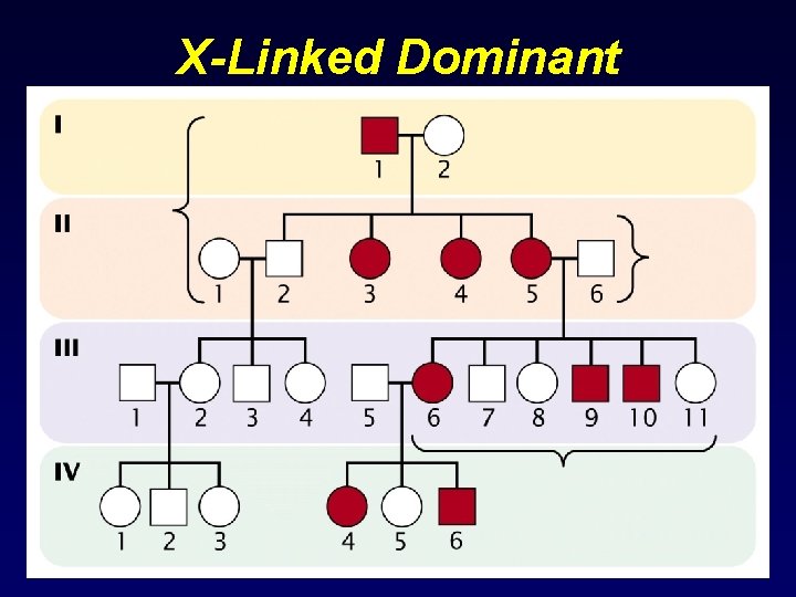 X-Linked Dominant 