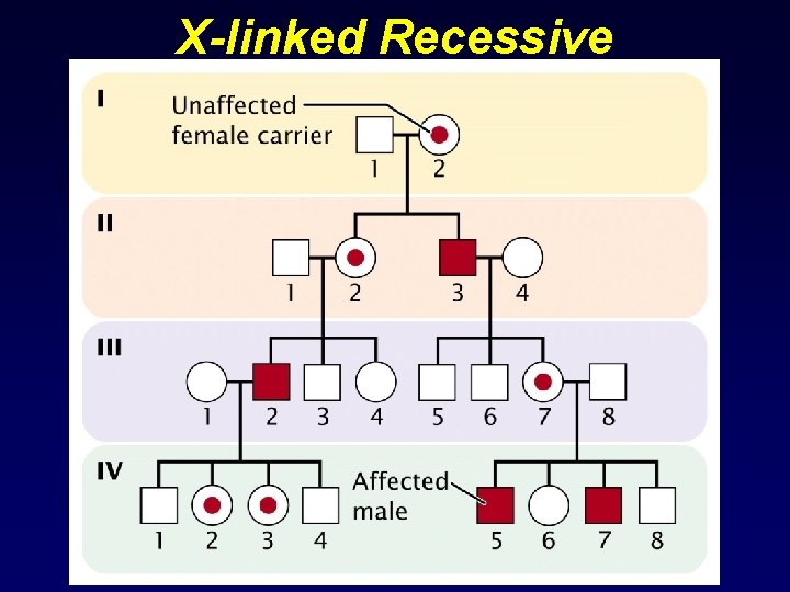X-linked Recessive 