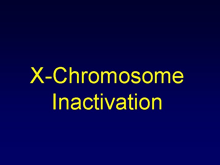 X-Chromosome Inactivation 